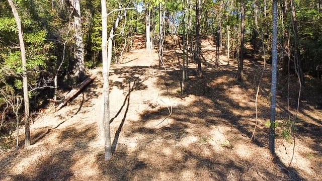 299 Dancing Flame, Livingston TX, 77351 land for sale