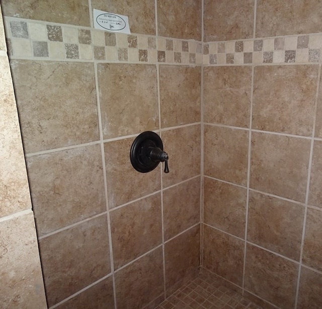 room details with tiled shower