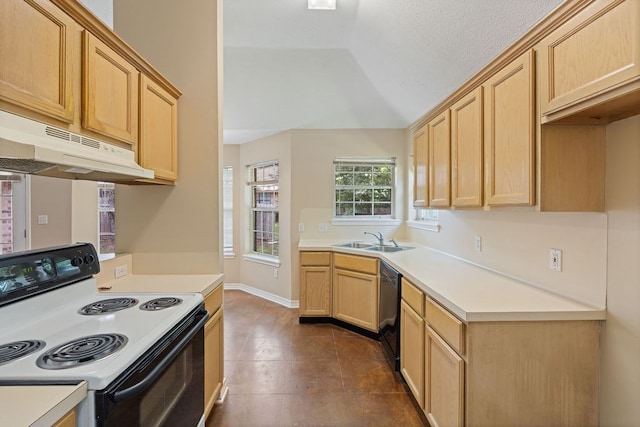 19 Windsor Ct, Lufkin, TX 75901 - kitchen with range with electric cooktop, under cabinet range hood, light brown cabinets, light countertops, and vaulted ceiling