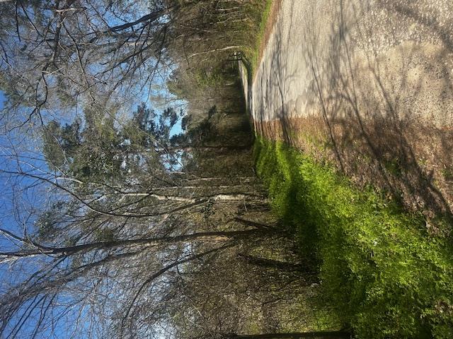 82189 Jim Stephens Rd, Lufkin, TX 75904