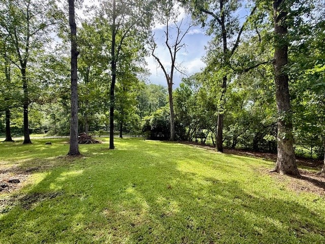 120 Sunflower Dr, Hemphill, TX 75948 - photo 2