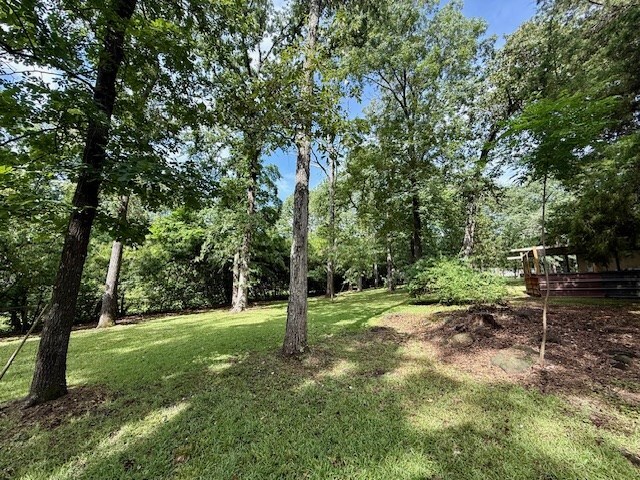 120 Sunflower Dr, Hemphill, TX 75948 - photo 17