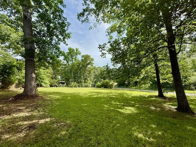 120 Sunflower Dr, Hemphill, TX 75948 - photo 5