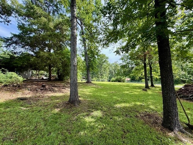 120 Sunflower Dr, Hemphill, TX 75948 - photo 4