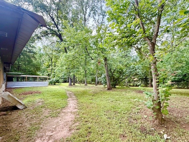 120 Sunflower Dr, Hemphill, TX 75948 - photo 15