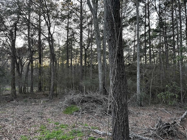 Listing photo 2 for 000 Timber Rdg, Hemphill TX 75948