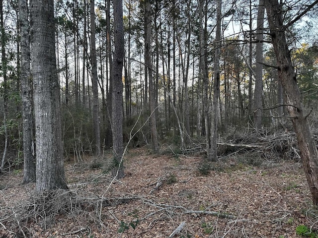 000 Timber Rdg, Hemphill TX, 75948 land for sale