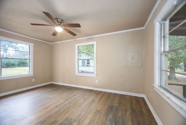 empty room featuring hardwood / wood-style floors, ceiling fan, and ornamental molding