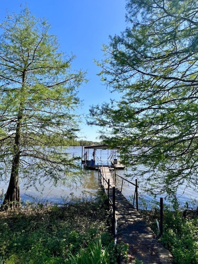 dock area featuring a water view