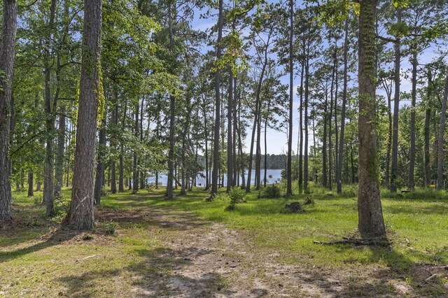 view of local wilderness with a water view