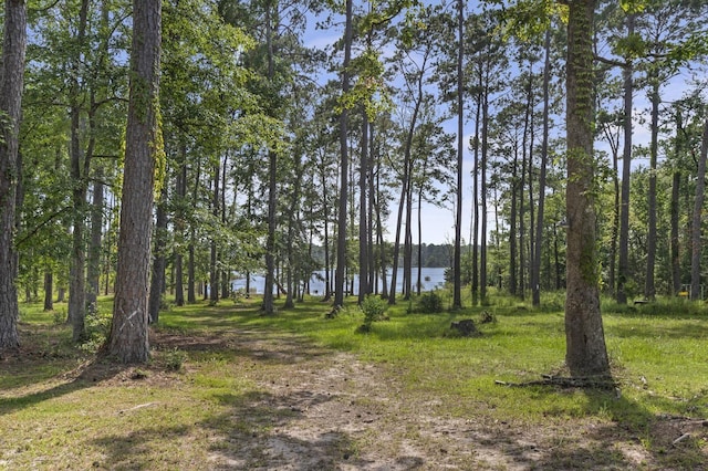 217 County Road 223, Brookeland, TX 75931 - view of wooded area featuring a water view