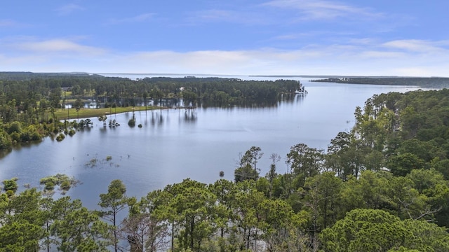 217 County Road 223, Brookeland, TX 75931 - water view with a forest