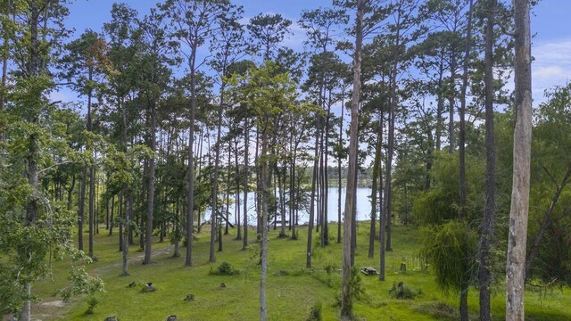 view of nature featuring a water view