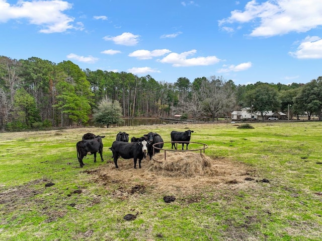 view of yard featuring a rural view