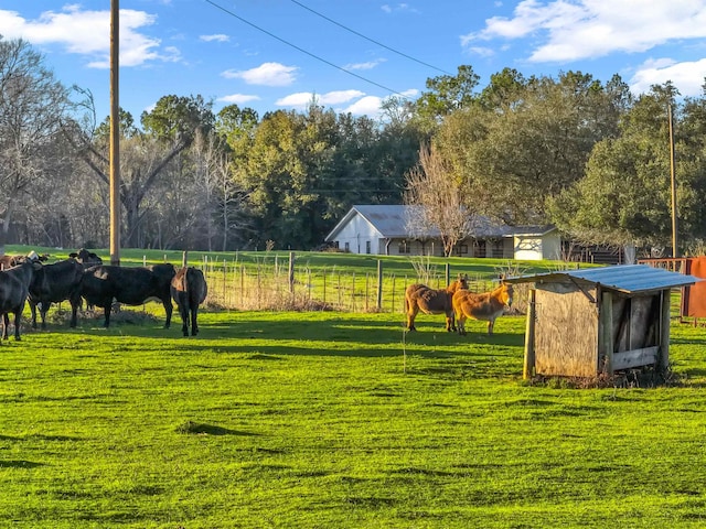 view of yard with a rural view