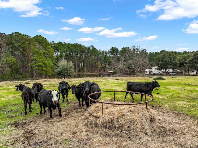 view of home's community with a rural view