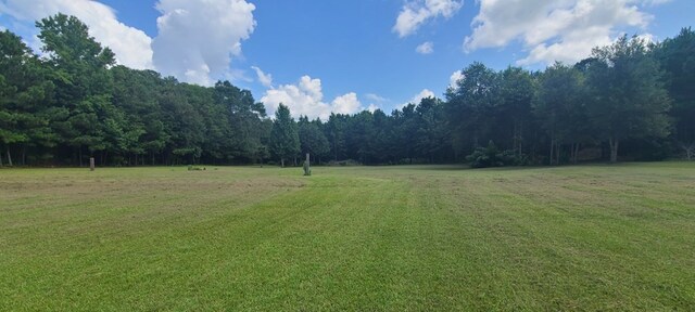 1053 E Main St, Zavalla, TX 75980 - photo 5