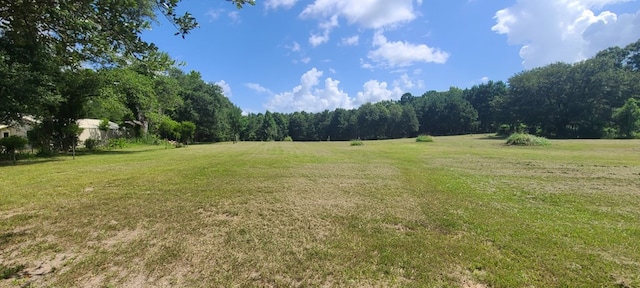 1053 E Main St, Zavalla, TX 75980 - photo 4
