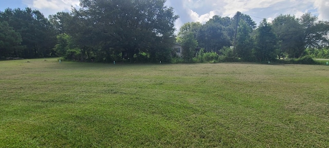 1053 E Main St, Zavalla, TX 75980 - photo 6