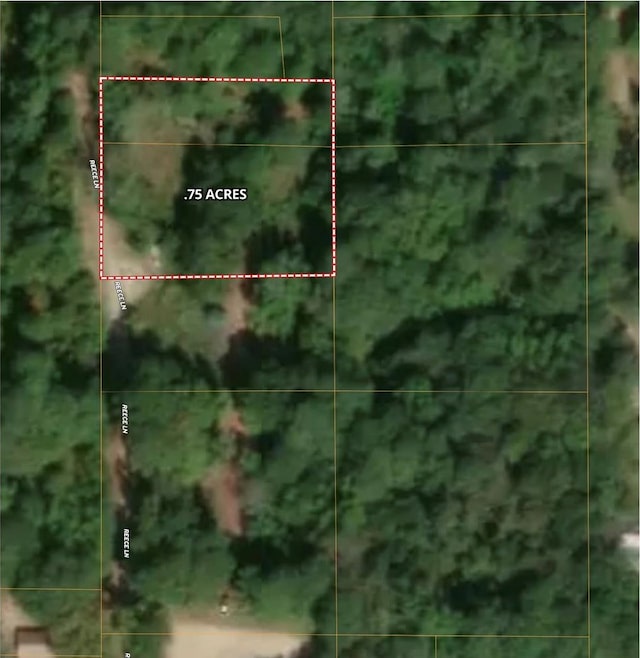 2908 Minnie Lou, Lufkin, TX 75904