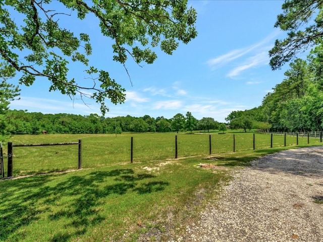 1423 Thornton Rd, Huntington, TX 75949 - photo 35