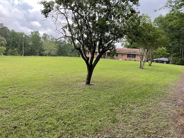 1423 Thornton Rd, Huntington, TX 75949 - photo 30