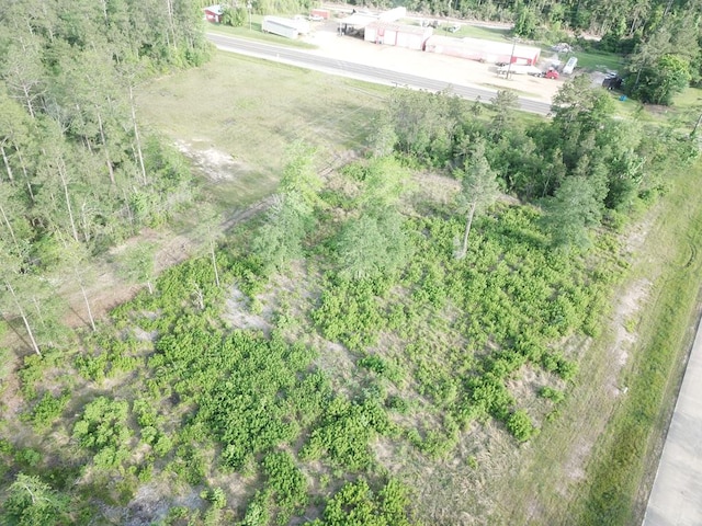LOT33 Raybo Dr, Kirbyville, TX 75956 - photo 10