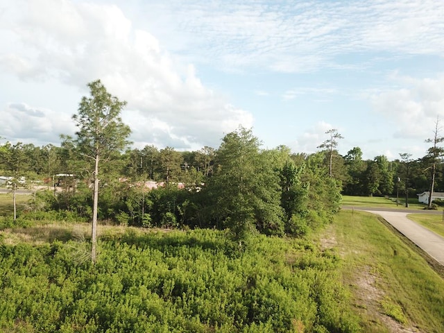 LOT33 Raybo Dr, Kirbyville, TX 75956 - photo 9