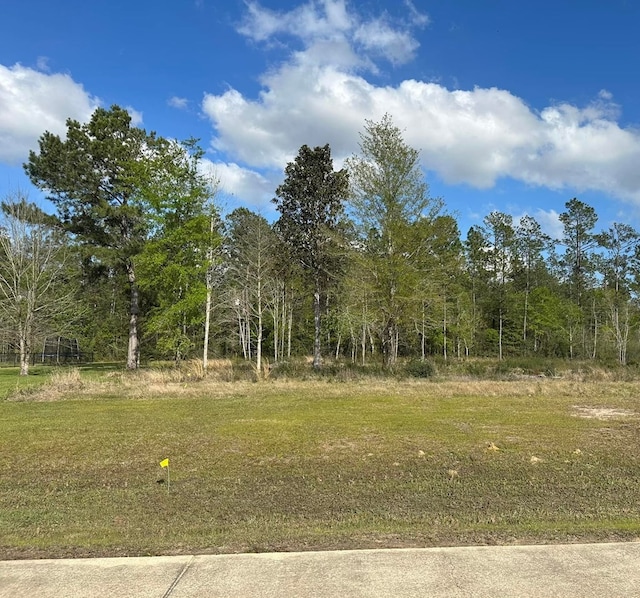 LOT33 Raybo Dr, Kirbyville, TX 75956 - photo 4