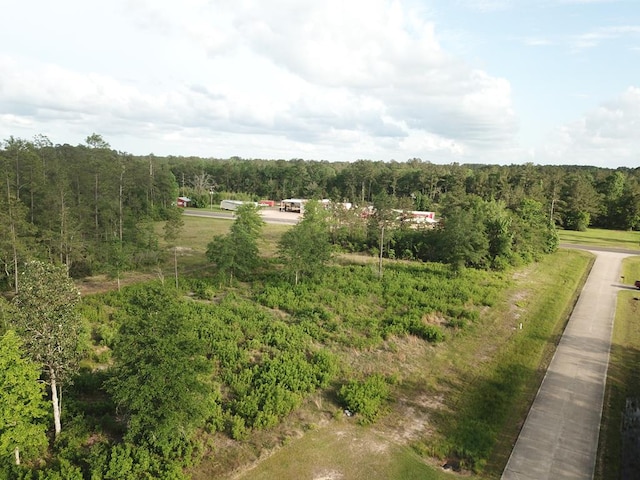 LOT33 Raybo Dr, Kirbyville, TX 75956 - photo 8