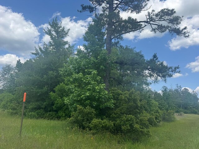 LOT33 Raybo Dr, Kirbyville, TX 75956 - photo 1