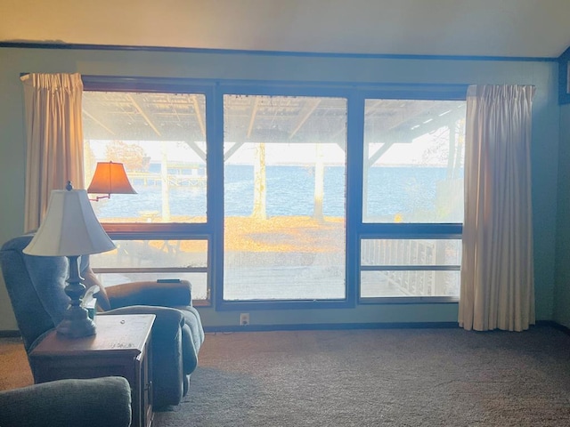 living area with carpet flooring and a healthy amount of sunlight