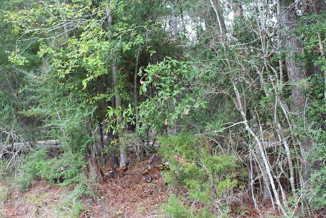 8786 County Road 266, Jasper, TX 75951