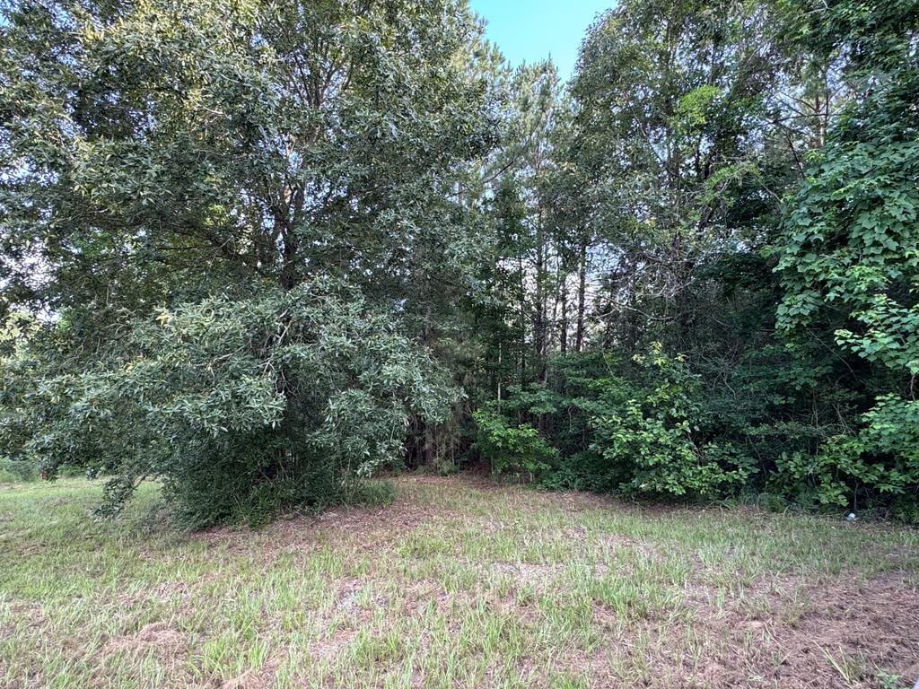 95 Red Wolf Ln, Brookeland, TX 75931