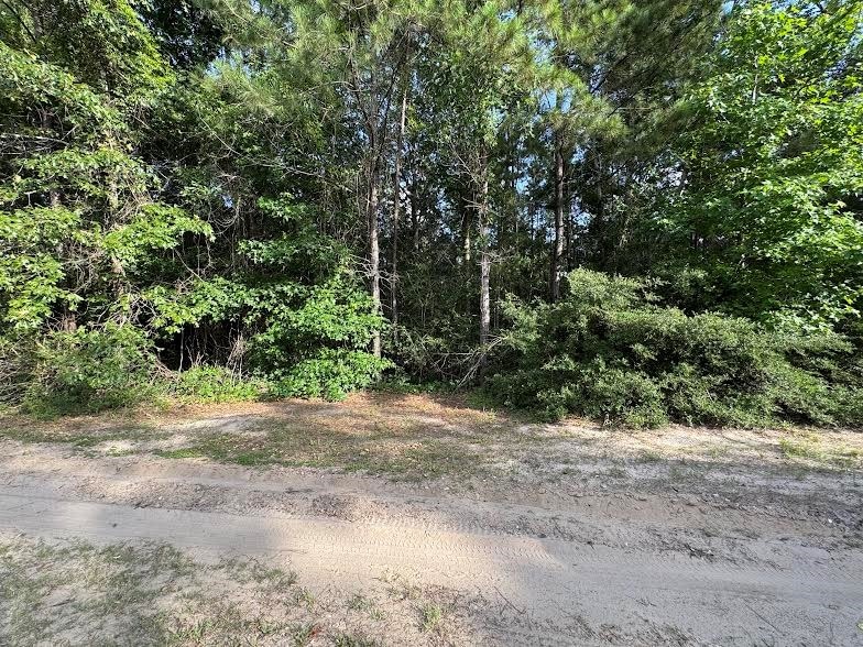 95 Red Wolf Ln, Brookeland, TX 75931