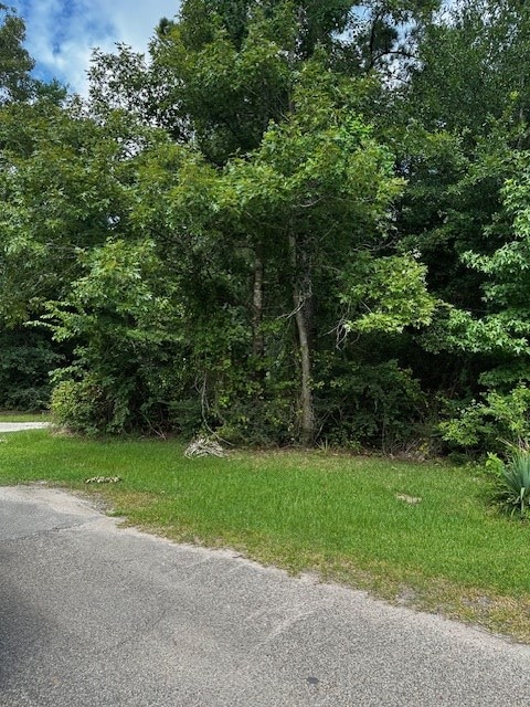 1017 Holubec St, Diboll, TX 75941