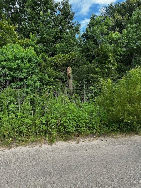 1017 Holubec St, Diboll, TX 75941