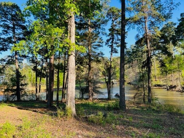 280 Time Dr, Milam, TX 75959 - photo 2