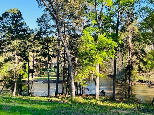 280 Time Dr, Milam, TX 75959