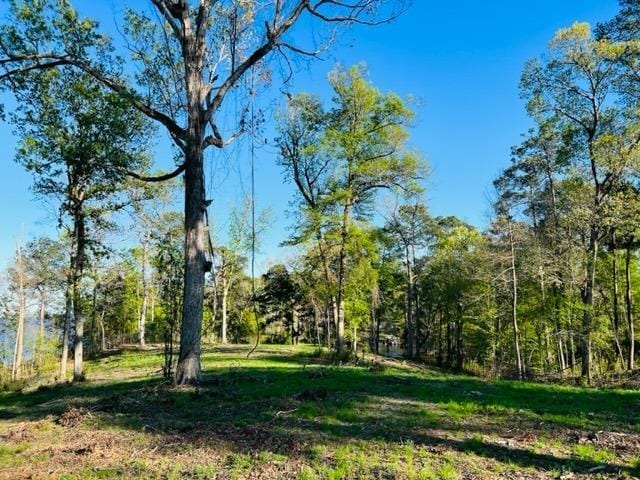 280 Time Dr, Milam, TX 75959 - photo 3