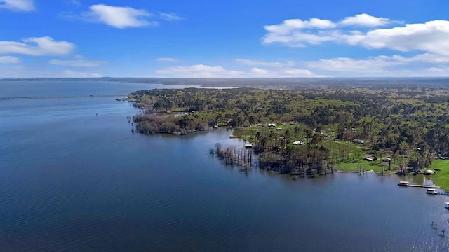 drone / aerial view featuring a water view and a forest view