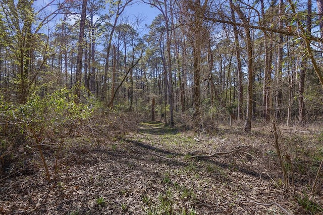 view of landscape featuring a view of trees