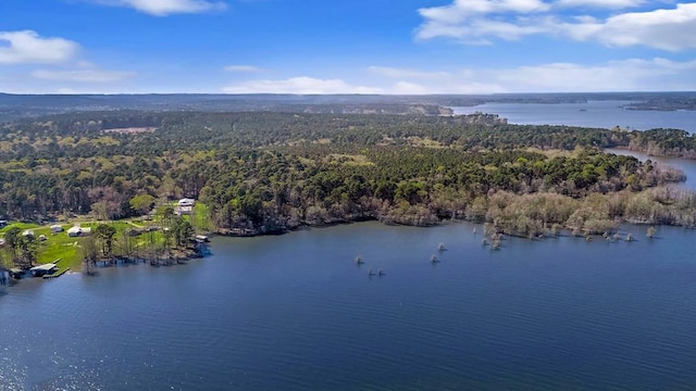 drone / aerial view featuring a water view and a forest view