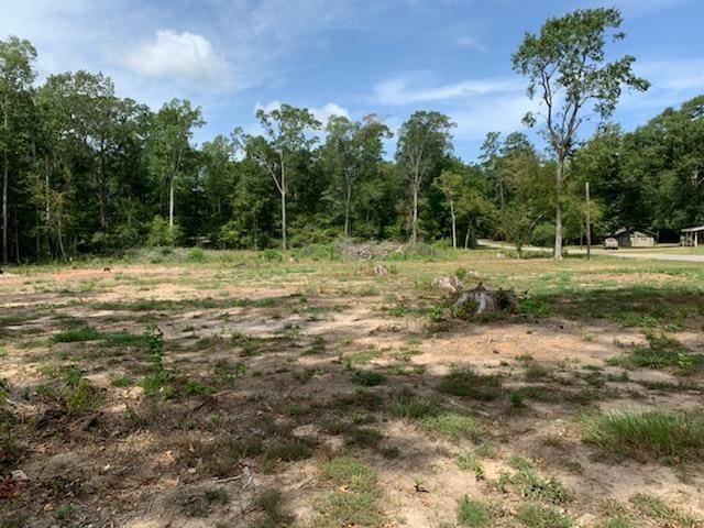 750 County Road 172, Jasper, TX 75951 - photo 14