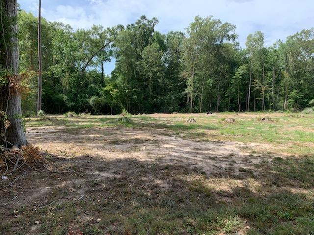 750 County Road 172, Jasper, TX 75951 - photo 17