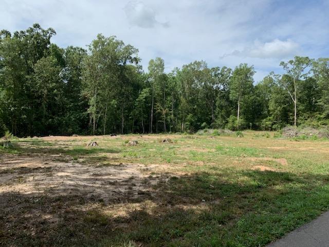 750 County Road 172, Jasper, TX 75951 - photo 15