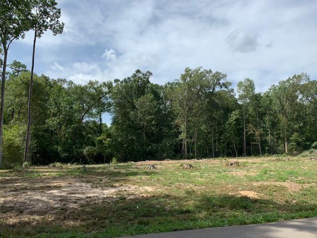750 County Road 172, Jasper, TX 75951 - photo 16