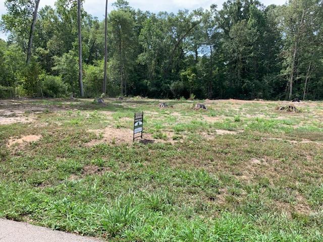 750 County Road 172, Jasper, TX 75951 - photo 10