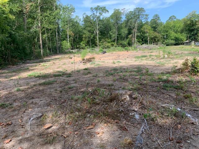 750 County Road 172, Jasper, TX 75951 - photo 12