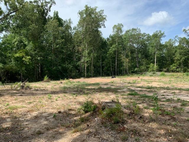 750 County Road 172, Jasper, TX 75951 - photo 11